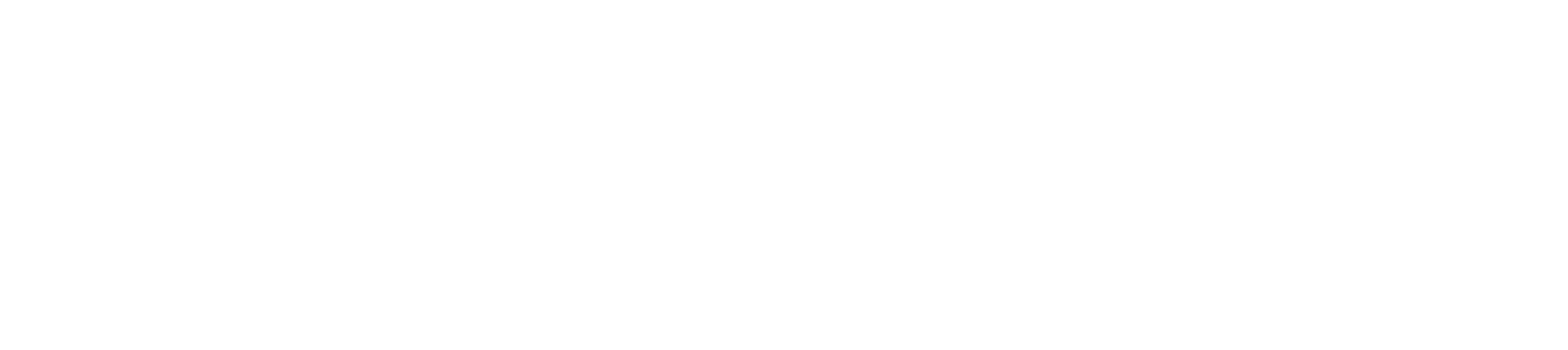 Co-funded by EU